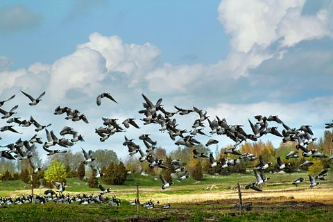 Best Places to Visit in Estonia that are Safe and Beautiful