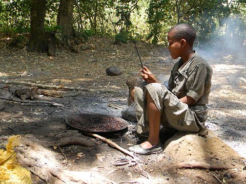 Countries that Export the Most Coffee in the World 