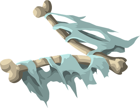 bones-575325_1280