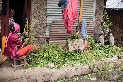 10 Least Addictive Drugs