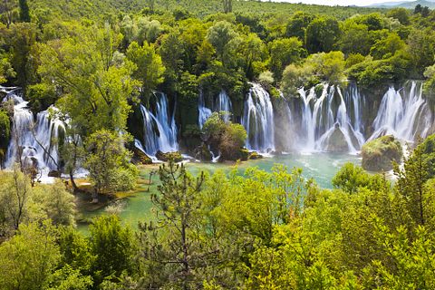 Tom Roche/Shutterstock.com