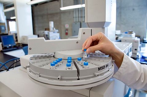 Dow Inc (DOW) Sheds on Lack of Leads, Ahead of Dividends