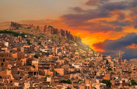 muratart/Shutterstock.com