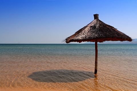 11 Countries that Eat the Least Meat in the World