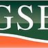 Here is What Hedge Funds Think About GSE Holding Inc (GSE)