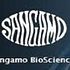 Sangamo Biosciences, Inc. (SGMO): Hedge Funds Are Bullish and Insiders Are Bearish, What Should You Do?