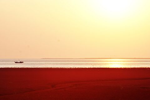 Guo Yu/Shutterstock.com