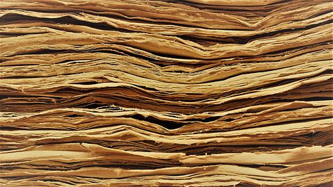  10 Examples of Isolated or Extinct Languages