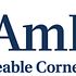 AmREIT Director & COO are Bullish