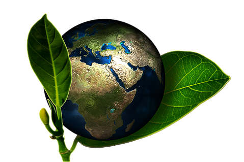 25 Best States for Environmental Engineers