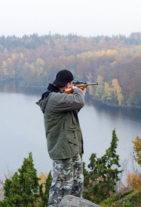 Piotr Wawrzyniuk/Shutterstock.com