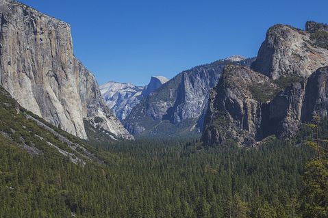 yosemite-California-forest-nature-landscape