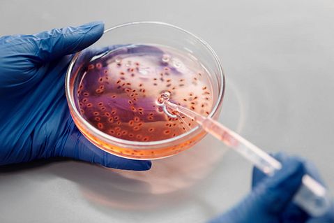 5 Best Gene Therapy Stocks to Buy in 2026