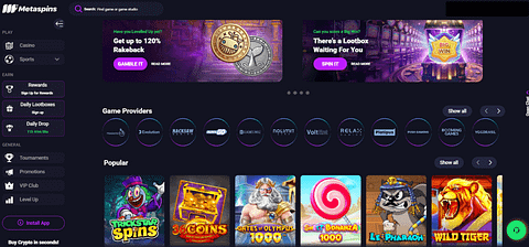 Metaspins webpage