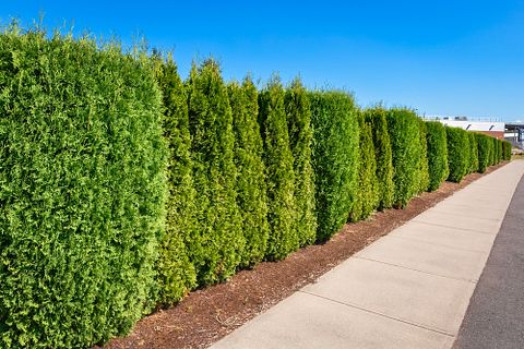 25 Best Paying Summer Jobs for 10, 11, and 12 Year Olds