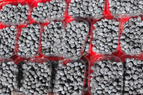 Countries that Produce The Most Blueberries in The World 