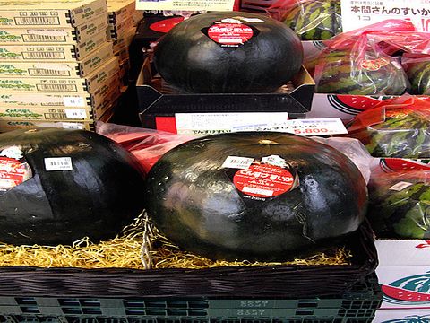 Most Expensive Fruits In The World