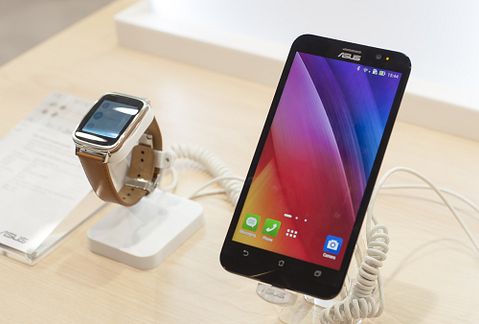 Ivan Garcia/Shutterstock.com 