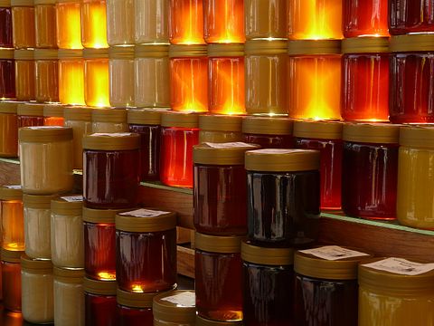 Countries that Produce the Most Honey in the World 