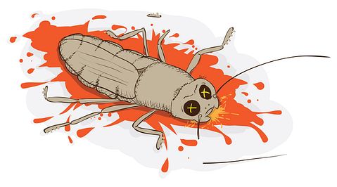 Cochineal Insects Products: 7 Foods Made With Crushed Bugs