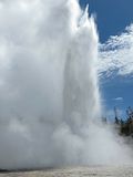 13 Biggest Geysers in the World