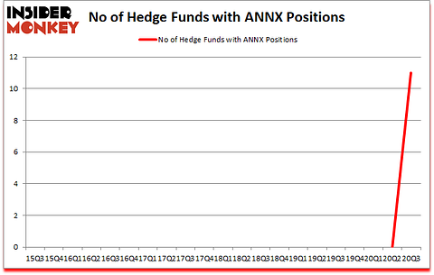 Is ANNX A Good Stock To Buy?