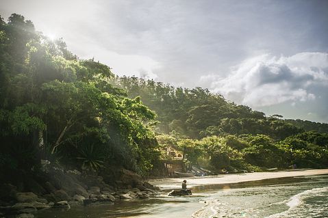 beach-731147_1280