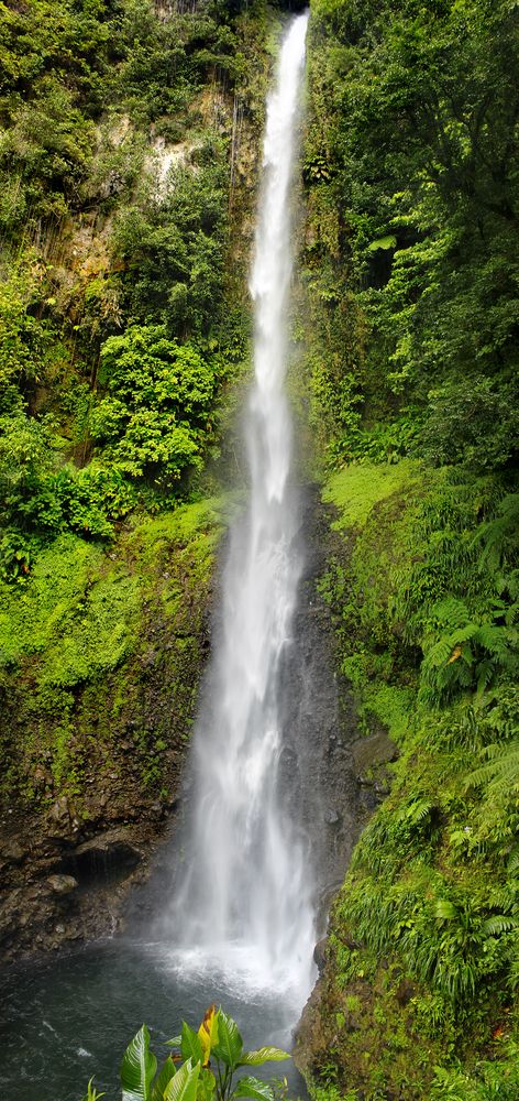 Best Places To See In Dominica Before You Die