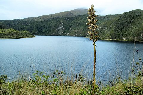 10 Best Places to Retire in Ecuador