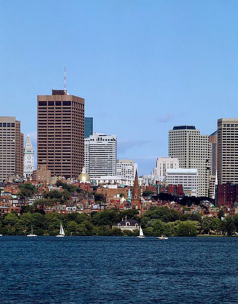 Boston View
