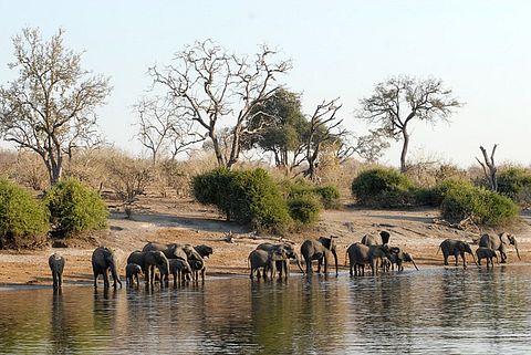 botswana-693440_640