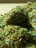 10 Countries that Consume the Most Marijuana