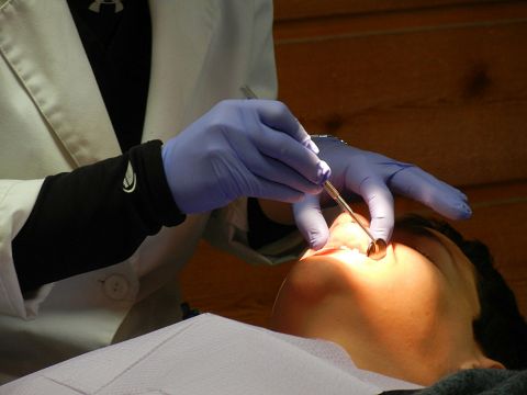 25 Best States For Orthodontists