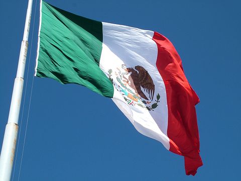 10 Countries Where Most Immigrants Come From Today 