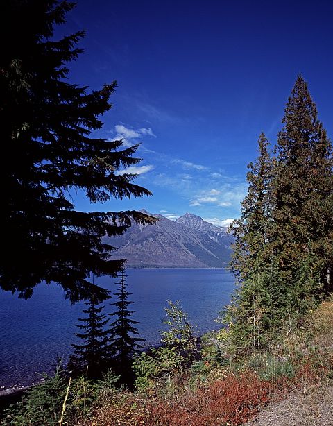 10 States with Highest Substance Abuse Rates