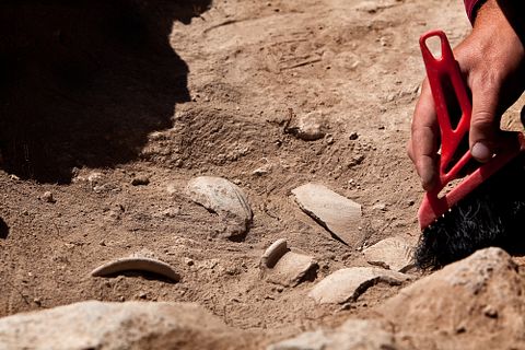 25 Best States For Anthropologists and Archaeologists