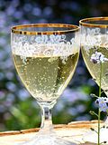 15 Most Popular Sparkling Wine Brands in America