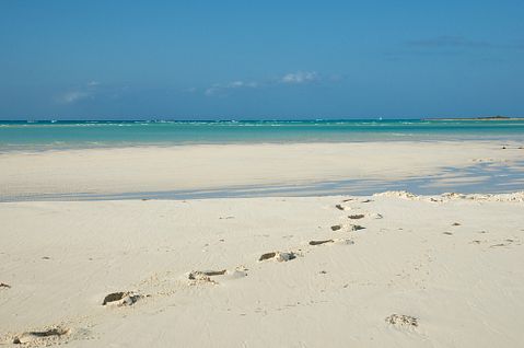 Nina Henry /Shutterstock.com