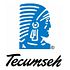 Roumell Asset Management Dumps Tecumseh Products Company (TECUA)