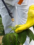 16 Largest Pest Control Companies in USA