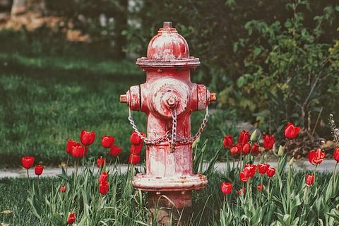 Water, Hydrant, Industry