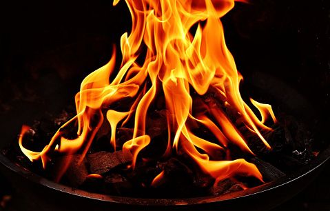 12 Best Hot Stocks to Buy For March