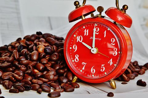 10 Best Tasting Highest Rated Coffee Beans in The World