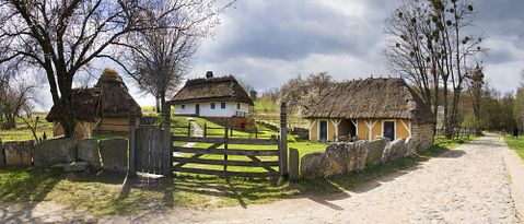 Roman Mikhailiuk/Shutterstock.com