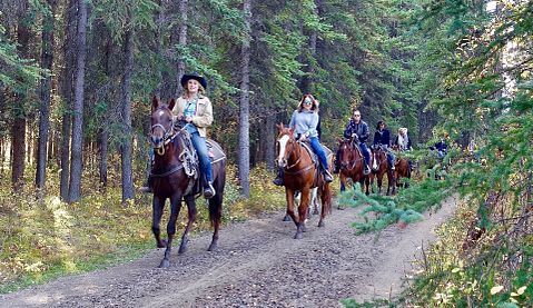 10 Horseback Riding Lessons For Kids and Adults in NYC