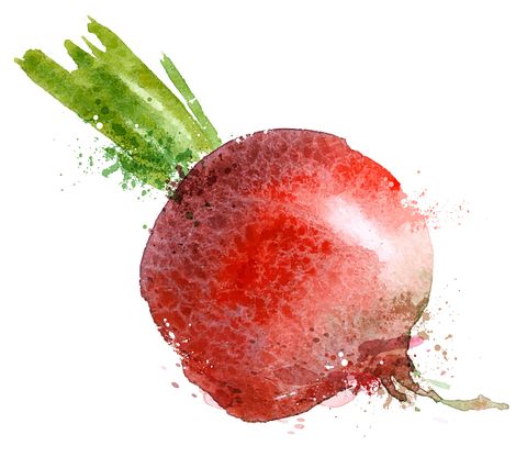 AVA Bitter/Shutterstock.com