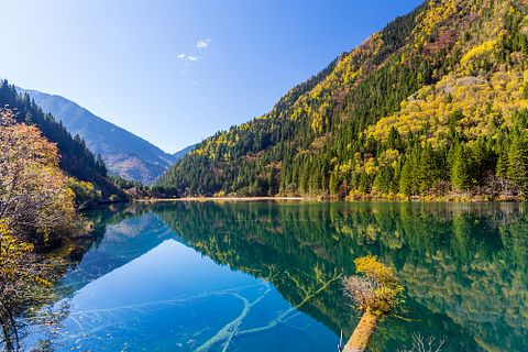 Bule Sky Studio/Shutterstock.com