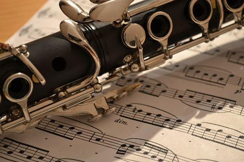 10 Easiest Elementary School Band Instruments To Play