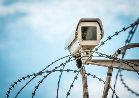  Konstantin Yolshin/Shutterstock.com