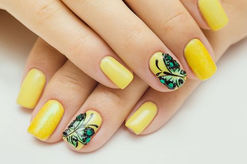 Honchar Roman/Shutterstock.com